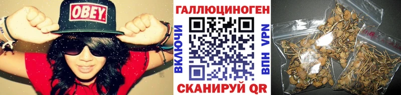 Псилоцибиновые грибы мицелий  Ардон 